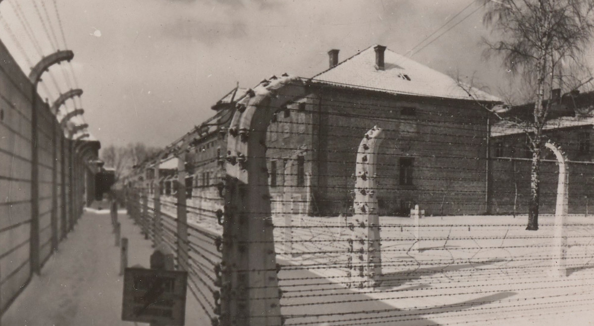 Auschwitz. O początkach Zagłady w rocznicę wyzwolenia