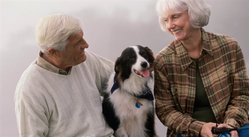 Psy mają na nas zbawienny wpływ. Pomagają m.in. w aktywizacji seniorów