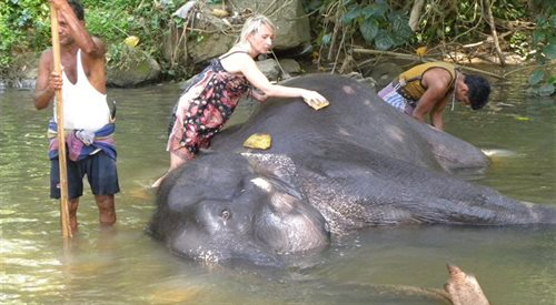 Autorka reportażu Katarzyna Kornet podczas wizyty w szpitalu dla słoni uczyła się opieki nad nimi