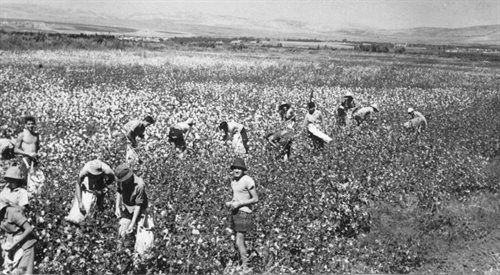 Kibuc w Izraelu w latach 50. Pierwsze tego typu gospodarstwa powstały na na terenie Palestyny, lecz w Europie, m.in. w Warszawie
