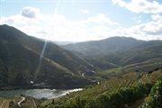 Region Douro słynie ze wspaniałych win. Pięknie utrzymane winnice rozciągają się po horyzont na trudno dostępnych tarasach
