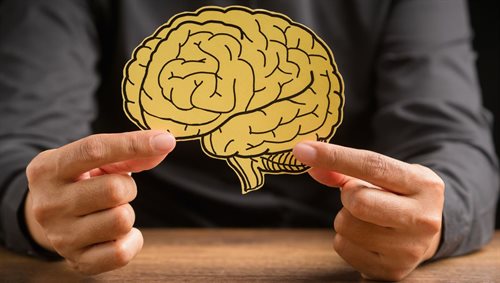 Co kryje mózg i jak można poprawić jego funkcjonowanie?