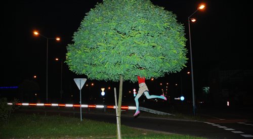 359 Drzewo, Cecylia Malik