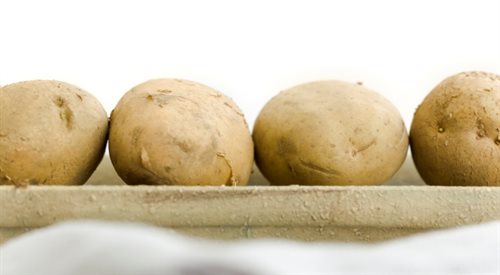 Białoruś wprowadza embargo na ziemniaki  z Ukrainy
