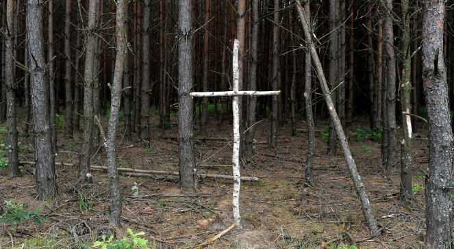 Brzozowy krzyż na skraju lasu przy tzw. trupim polu w rejonie wsi Ostrówki na Ukrainie