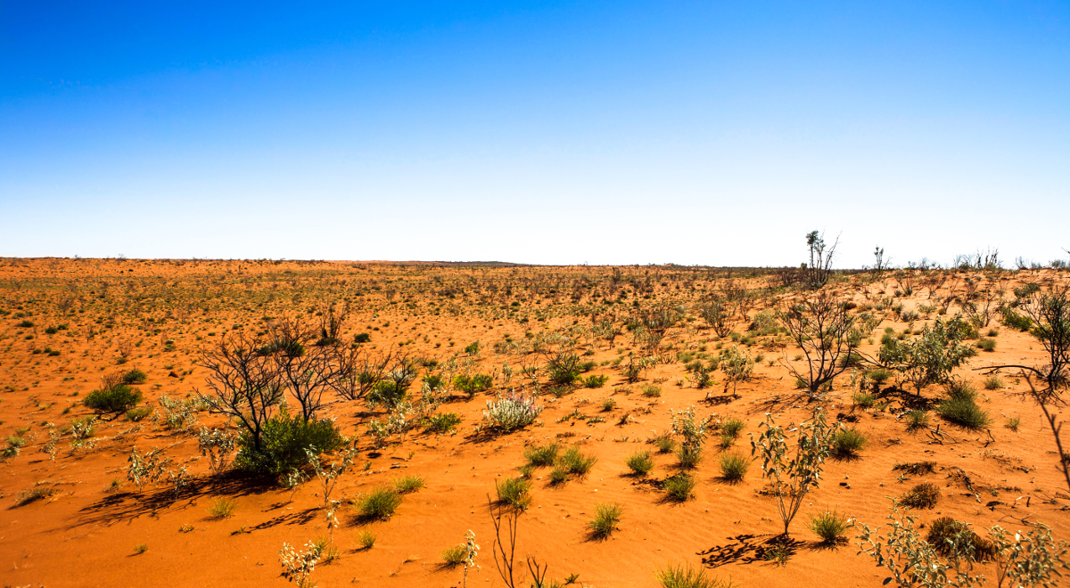 Australia pustynia 1200.jpg