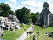 Guate Tikal