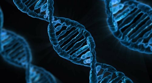 Dokąd doprowadzi nas modyfikowanie ludzkiego kodu genetycznego?