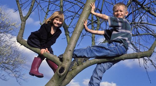 Nie tylko dzieci lubią wspinać się na drzewa