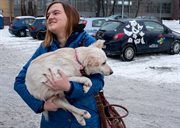 Pracownicy Wydziału Inżynierii Biomedycznej Politechniki Śląskiej w Zabrzu opracowali projekt prototypowego wózka dla niepełnosprawnego psa