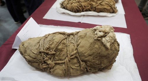 Odnalezione w mieście Cajamarquilla mumie obecnie znajdują się na wystawie zorganizowanej przez Uniwersytet Świętego Marka w Limie.