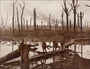 Strzelcy australijscy na kładce w spalonym lesie Château, 29 października 1917