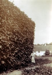Jadwiga z Piątkowskich (siostra cioteczna Witolda i Jerzego) w ogrodzie w Drozdowie, 1931.