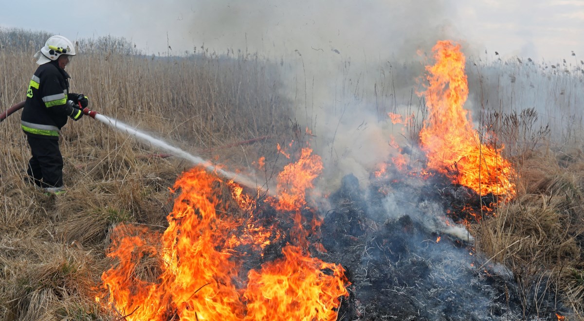 Akcja gaśnicza pożaru w Biebrzańskim Parku Narodowym niedaleko wsi Kopytkowo