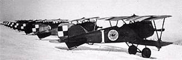 Albartosy D III 7. Eskadry Myśliwskiej, z widocznym godłem eskadry. Źr. Wikipedia Commons