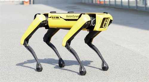 Robotyczny pies Spot w CNK