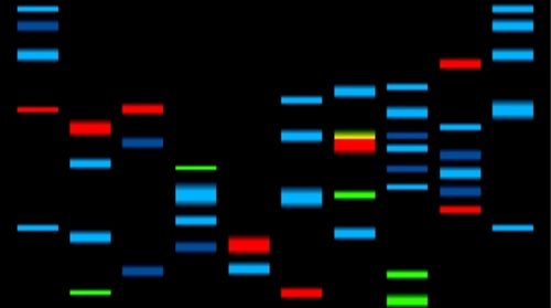 Komputer z biomolekuł manipuluje kodem genetycznym