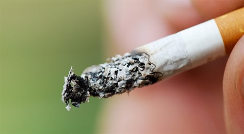 Resort gospodarki chce walczyć z unijnym zakazem w sprawie papierosów mentolowych