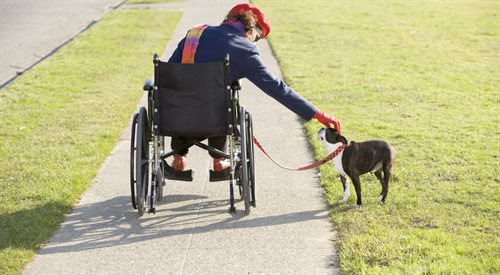 Według danych Fundacji Zero Barier w Polsce 3 mln osób niepełnosprawnych porusza się na wózkach, niemal 1,5 mln to osoby niewidome i niedowidzące, a pół miliona stanowią głusi.