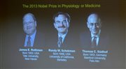 Thomas C. Suedhof, James E. Rothman oraz Randy W. Schekman otrzymali Nobla z medycyny i fizjologii za poznanie organizacji głównego systemu transportu w komórkach, który wykorzystuje pęcherzyki otoczone błoną lipidową. 