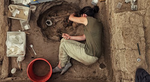 Polscy archeolodzy odkryli w Egipcie, w Berenike nad Morzem Czerwonym niezwykłe cmentarzysko zwierząt. Intrygującym znaleziskiem jest szkielet psa