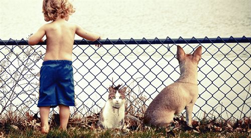 Warto uczyć dzieci przyjaźni ze zwierzętami od najmłodszych lat