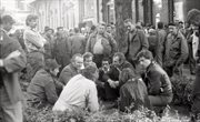 Strajkujący robotnicy czekają na wynik negocjacji pod Salą BHP. Sierpień 1980