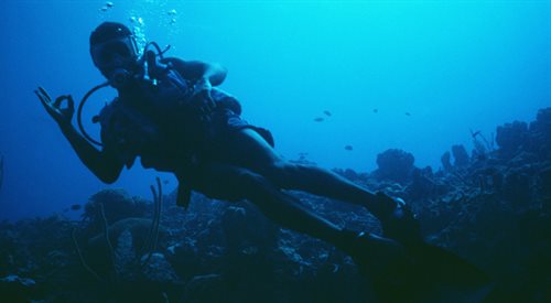 Czy dzięki badaniom nad emisją dźwięków morskich zwierząt człowiek może odkryć sztukę podwodnych rozmów?