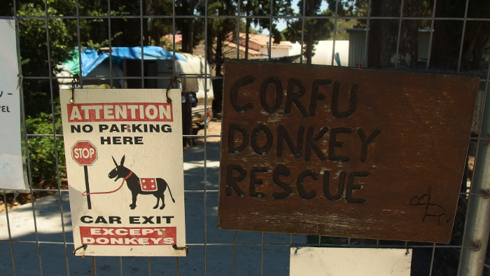 Corfu Donkey Resue/fot. Michał Foltak i Weronika Lipińska