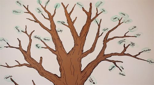 Tworzenie drzewa genealogicznego może stać się pasją.