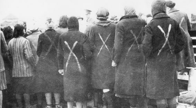 Więźniarki obozu koncentracyjnego Ravensbrück. Koniec II wojny światowej. Kredowe znaki na plecach oznaczają skierowanie do transportu przez autobusy Szwedzkiego Czerwonego Krzyża.