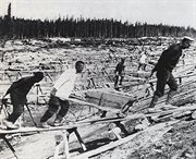 Więźniowie przy budowie Kanału Białomorsko-Bałtyckiego, 1932
