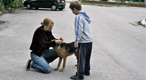 Psie pogotowie w Sarajewie nie jest w stanie pomóc wszystkim potrzebującym zwierzętom