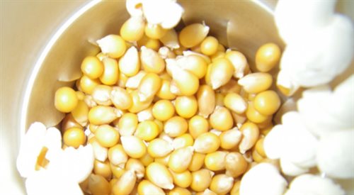 Prażone ziarna kukurydzy to jedna z najbardziej popularnych przekąsek.