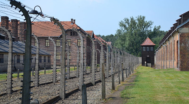Ogrodzenie obozu Auschwitz-Birkenau. Fot. Tyranid99wikipediadp