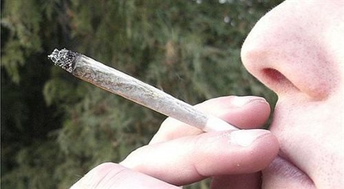 Polacy palą więcej marihuany niż Holendrzy