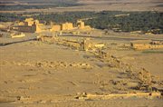 Widok na Palmyrę