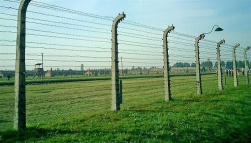 Druty otaczające teren obozu w Auschwitz