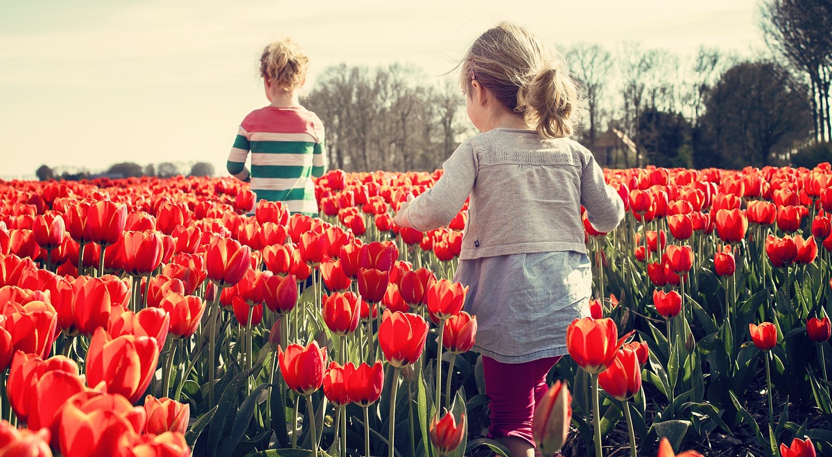 Holandia to nie tylko tulipany i wiatraki, ale także ambitna, nieszablonowa muzyka