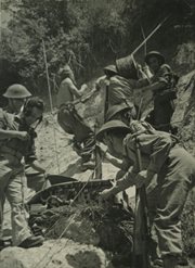Artyleria 2 Korpusu Polskiego - żołnierze wciągają 17-funtowe działo na pozycje w San Onofrio. Rejon Monte Cassino, Włochy, maj 1944
