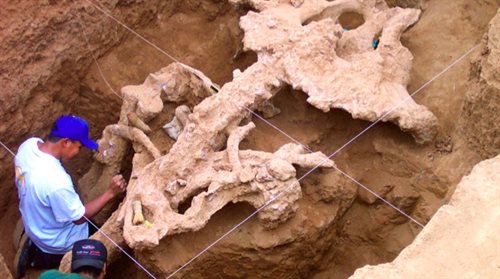 W Meksyku znaleziono dobrze zachowanego mamuta