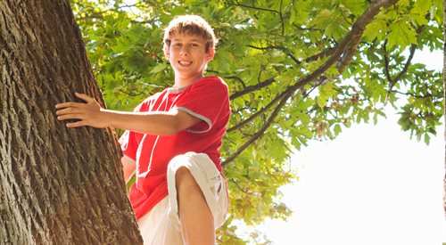 Wspinaczki drzewnej uczyć się można na specjalnych kursach. O tym, jak i gdzie zacząć - mówimy w Czwórce