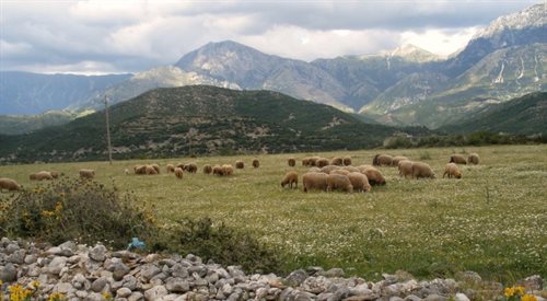 Góry w Albanii