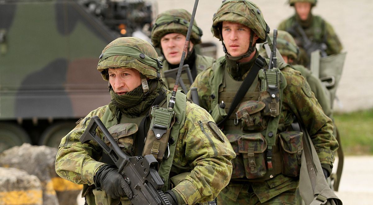 Litewskie wojska lądowe