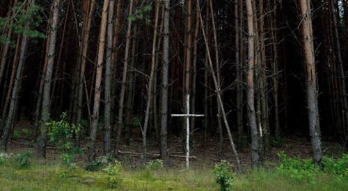 Brzozowy krzyż na skraju lasu przy tzw. trupim polu w rejonie wsi Ostrówki na Ukrainie. 300 Polaków w 1943 roku zginęło tam z rąk UPA.