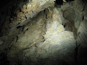 Już wkrótce turyści będą mogli zwiedzać jaskinie nieopodal Amfiteatru Kadzielnia. W tym celu połączono 3 jaskinie Odkrywców, Prochownię i Szczelinę na Kadzielni. Podziemna trasa ma mieć ok. 160 m. 