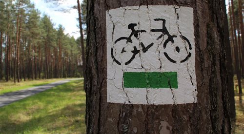 Powiat lubliniecki to idealne miejsce na rowerowe ekapady - twierdzą fani tego rodzaju wypraw. W audycji podpowiadamy, jak zaplanować trasę takiej wycieczki (zdj. ilustracyjne)