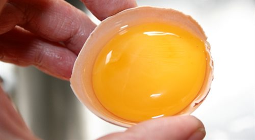 Jajko pod lupą dietetyków