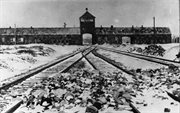 Wjazd do niemieckiego obozu śmierci Auschwitz-Birkenau widziany od strony obozu. Styczeń 1945