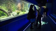 Otwarcie akwarium w warszawskim zoo